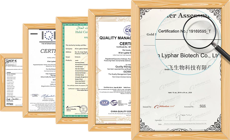 About Us-Lyphar Biotech Co., Ltd