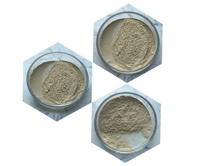 Ribonucleic acid-Lyphar Biotech Co., Ltd Ribonucleic acid-Lyphar Biotech Co., Ltd