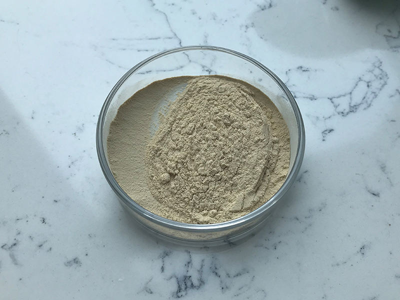 Top Quality Ribonucleic Acid Offered by Lyphar Sample Free