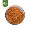 Lyphar Curcumin powder