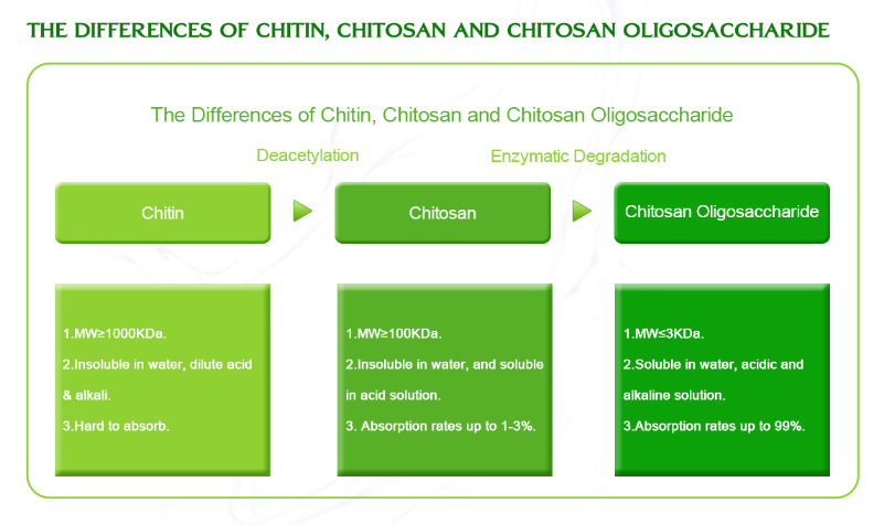 Chitosan Powder-Lyphar Biotech Co., Ltd