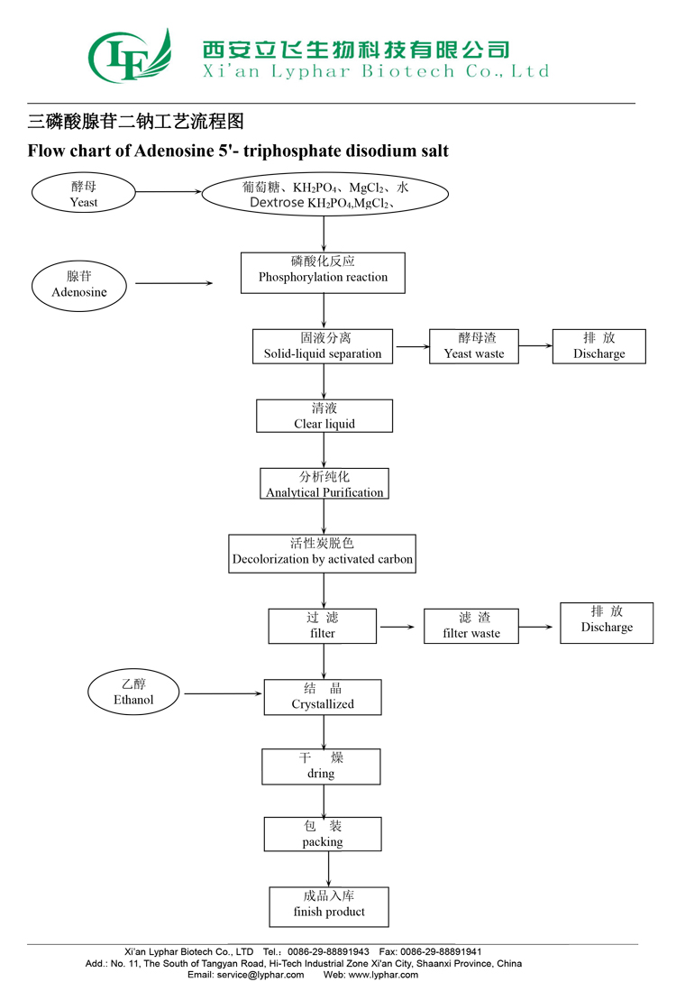 Flow-chat-of-ATP--Lyphar