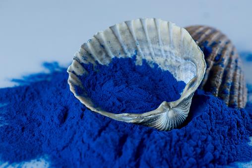 organic phycocyanin powder