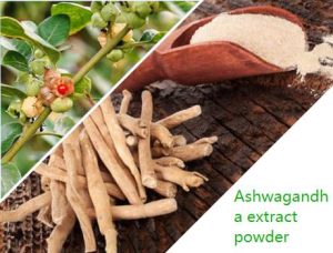 Lyphar ashwagandha extract powder