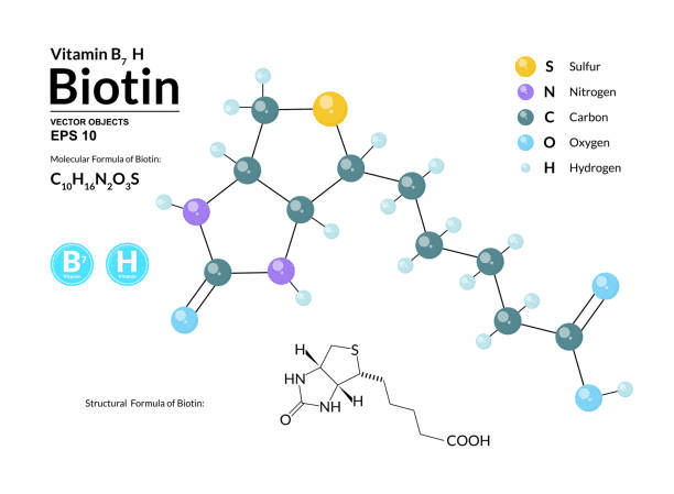 <strong>What is Biotin powder?</strong>-Lyphar Biotech Co., Ltd