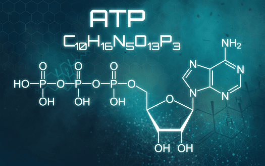 lyphar ATP powder