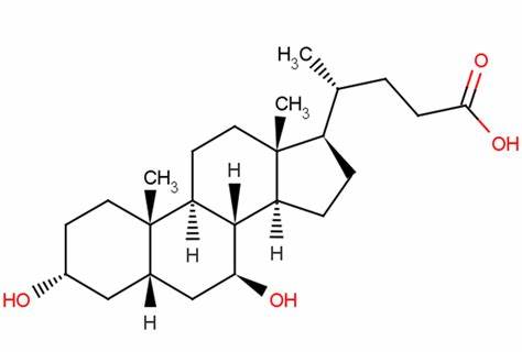 A new discovery related to ursodeoxycholic acid-Xi'an Lyphar Biotech Co., Ltd