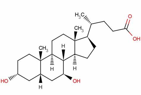 ursodeoxycholic acid powder