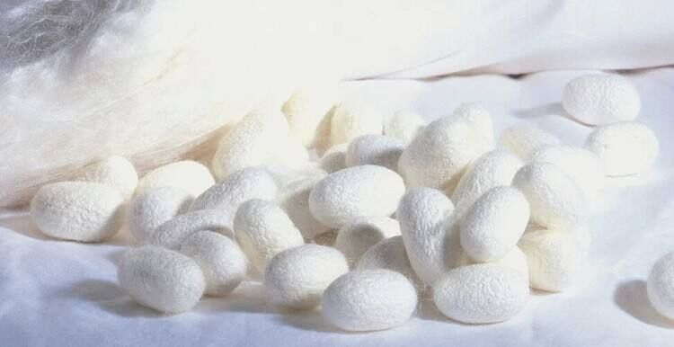 The Most Powerful Anti-aging Ingredient from Nature-Xi'an Lyphar Biotech Co., Ltd The Most Powerful Anti-aging Ingredient from Nature-Xi'an Lyphar Biotech Co., Ltd