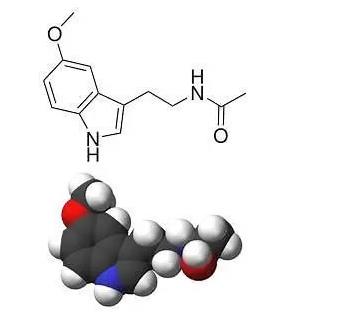 Melatonin - The Powerful Hormone Secreted by the Pineal Gland
