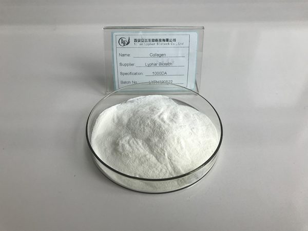 2025103107145479 2025103107145479