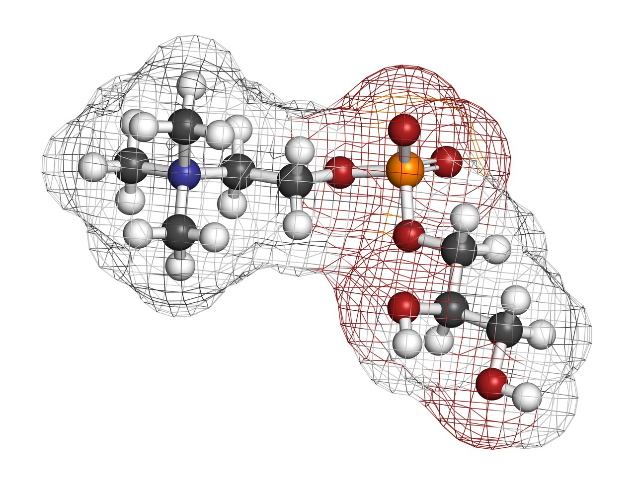 Alpha-GPC