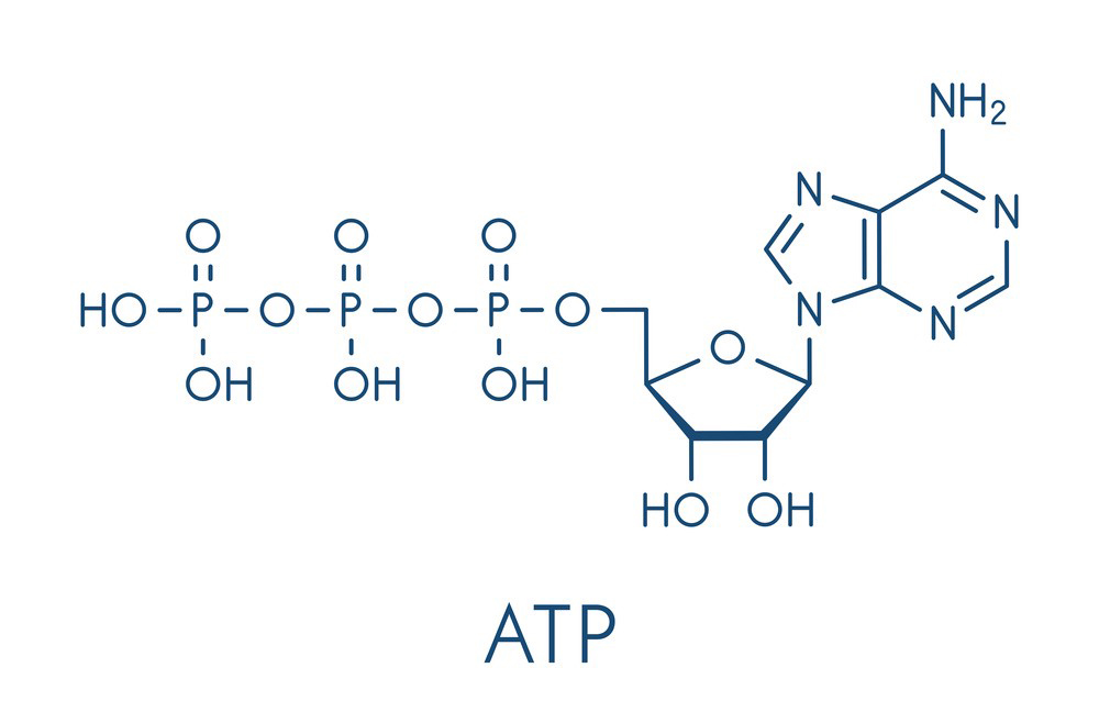 Chemical structure and physical properties of Adenosine Triphosphate-Xi'an Lyphar Biotech Co., Ltd