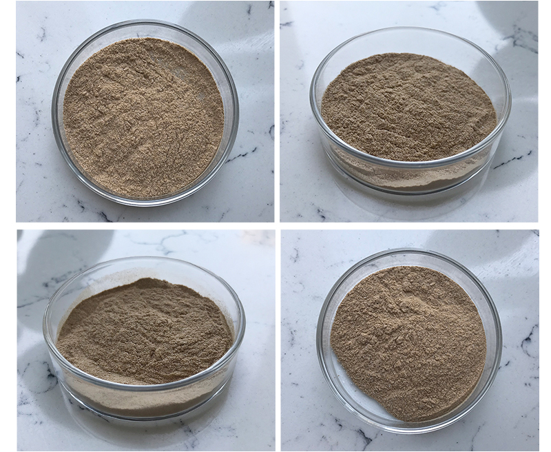 Chemical and physical properties of Bacillus Megaterium-Xi'an Lyphar Biotech Co., Ltd