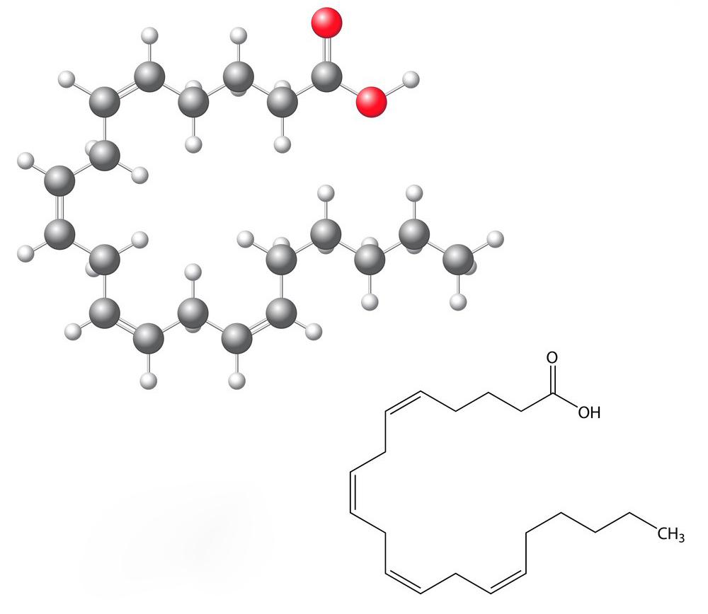 Chemical structure and physical properties of Arachidonic Acid-Xi'an Lyphar Biotech Co., Ltd