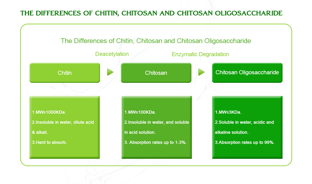 Chemical structure and physical properties of Chitosan Oligosaccharide-Xi'an Lyphar Biotech Co., Ltd