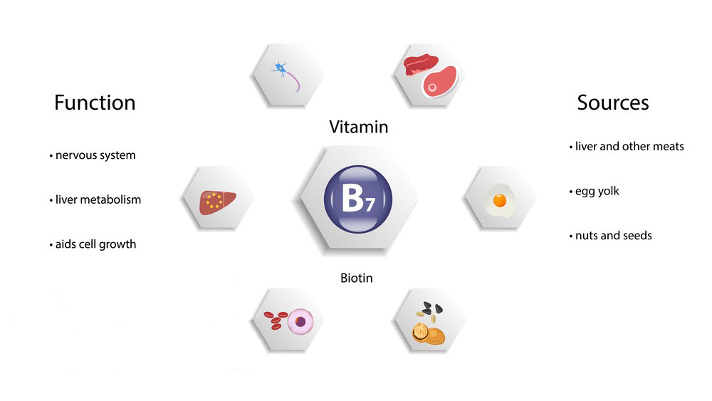 Biotin