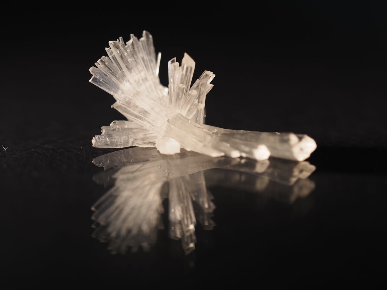The effectiveness of the CBD, side effects, and matters needing attention-Xi'an Lyphar Biotech Co., Ltd The effectiveness of the CBD, side effects, and matters needing attention-Xi'an Lyphar Biotech Co., Ltd