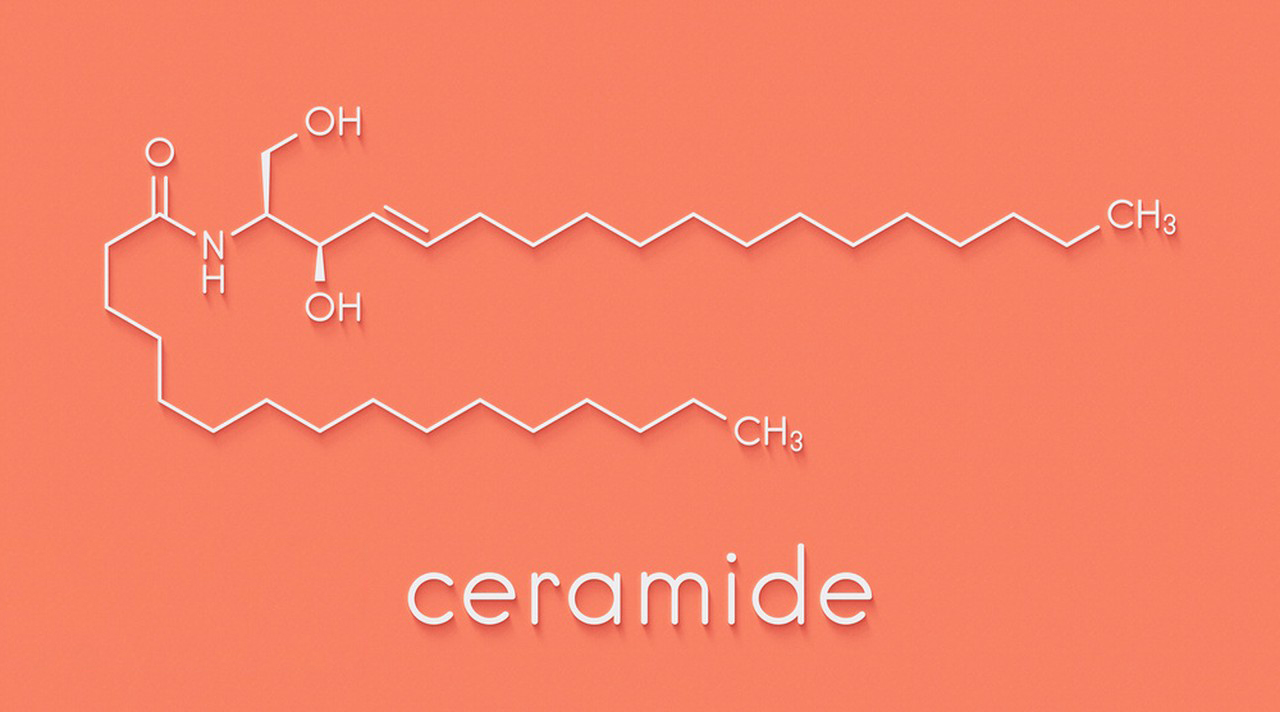 The functions and benefits of ceramides-Xi'an Lyphar Biotech Co., Ltd
