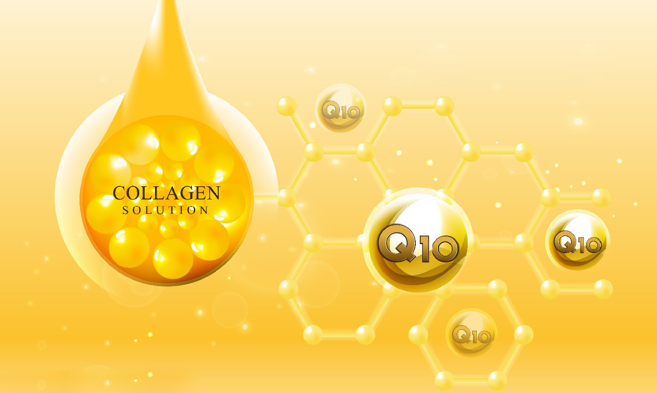 What is Coenzyme Q10?-Xi'an Lyphar Biotech Co., Ltd