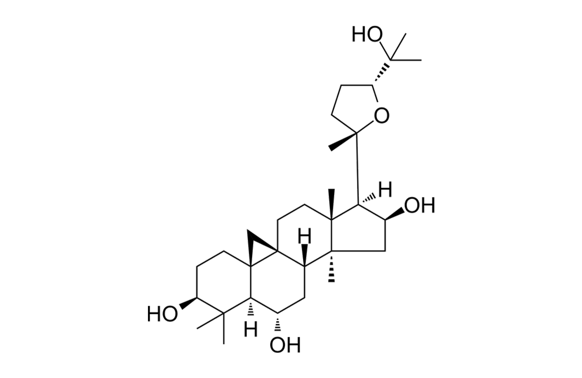 What is Cycloastragenol?-Xi'an Lyphar Biotech Co., Ltd