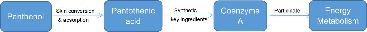 The basic ingredients of D-Panthenol-Xi'an Lyphar Biotech Co., Ltd