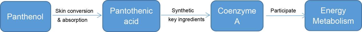Processing of D-Panthenol-Xi'an Lyphar Biotech Co., Ltd Processing of D-Panthenol-Xi'an Lyphar Biotech Co., Ltd