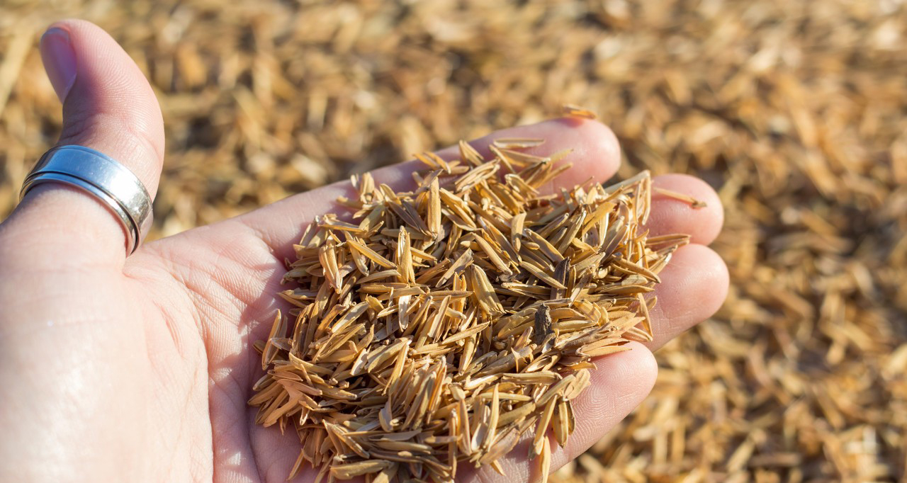The comprehensive research of Ferulic Acid-Xi'an Lyphar Biotech Co., Ltd The comprehensive research of Ferulic Acid-Xi'an Lyphar Biotech Co., Ltd