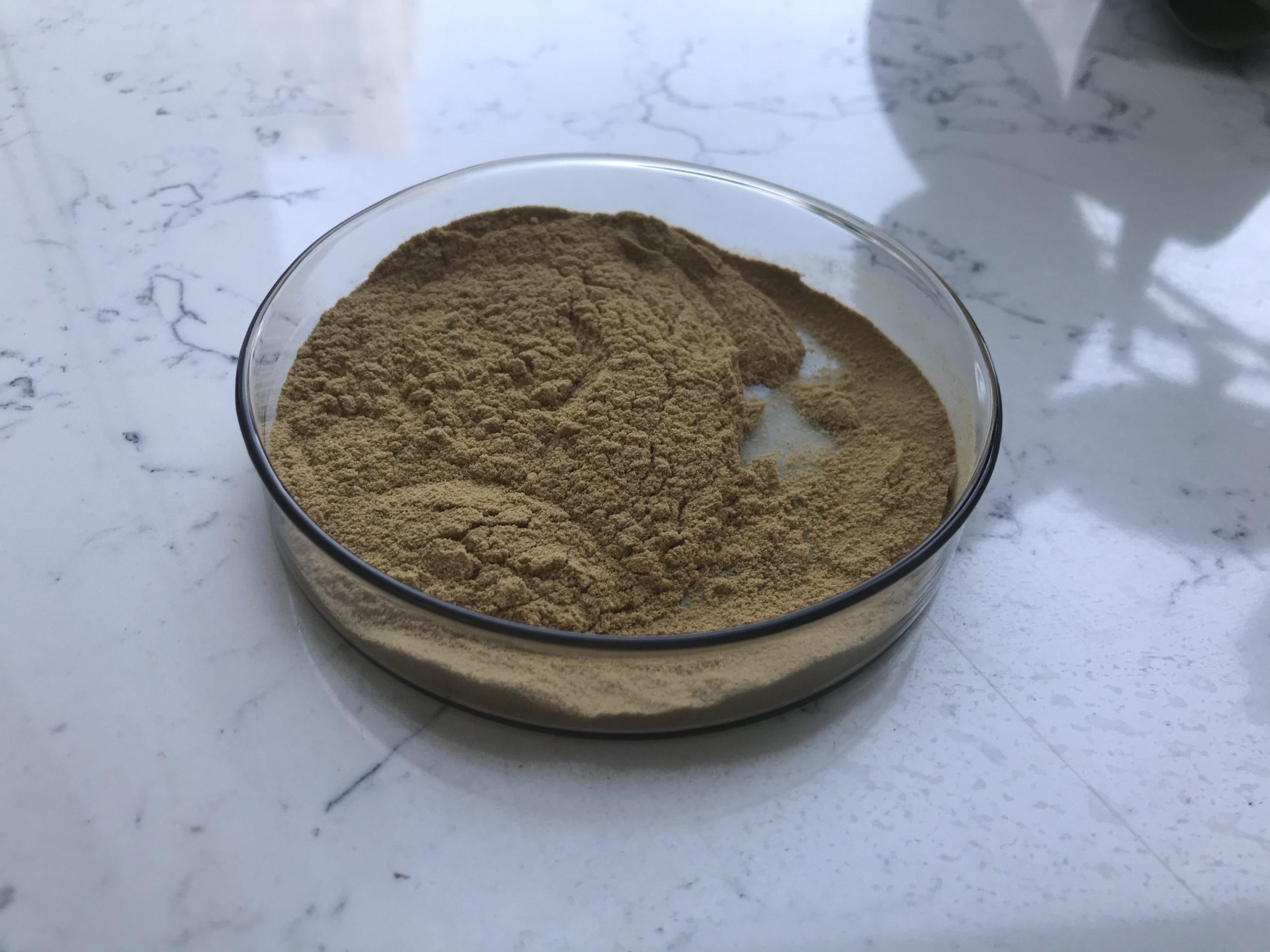 The profound impact of Ginseng Powder-Xi'an Lyphar Biotech Co., Ltd