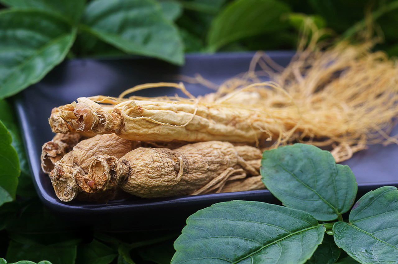 The pros and cons of Ginseng Powder-Xi'an Lyphar Biotech Co., Ltd