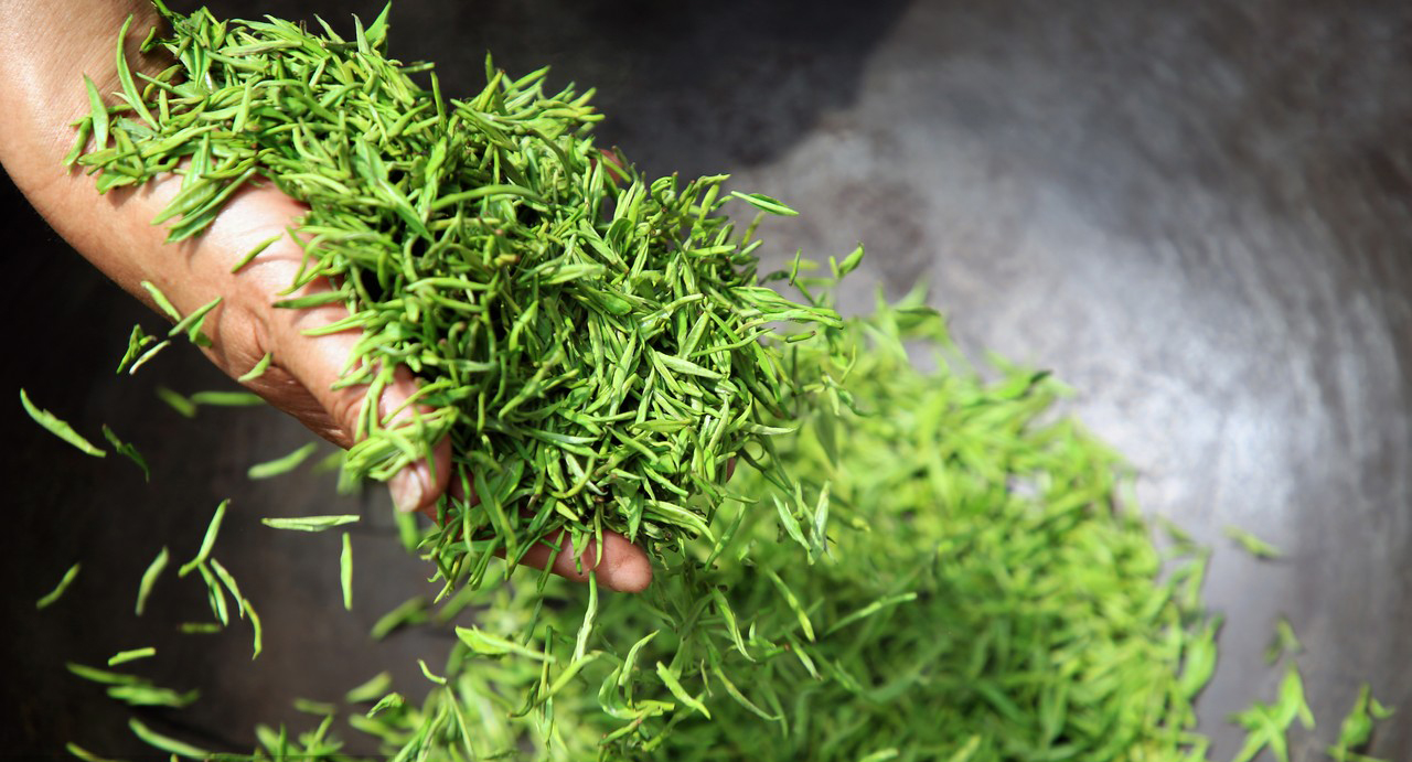 Benefits of L-Theanine-Xi'an Lyphar Biotech Co., Ltd Benefits of L-Theanine-Xi'an Lyphar Biotech Co., Ltd