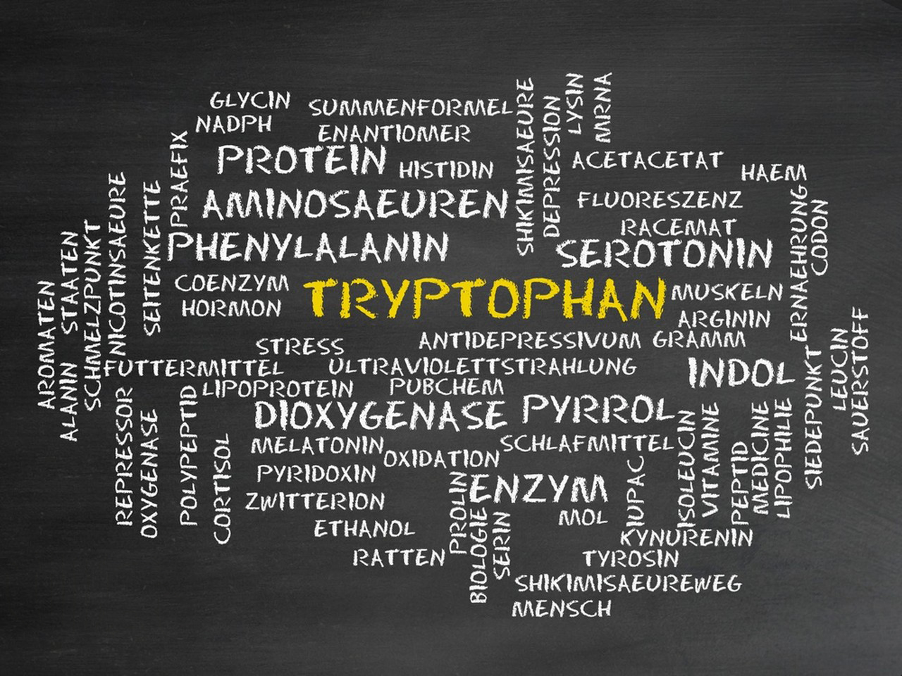 What is L Tryptophan?-Xi'an Lyphar Biotech Co., Ltd