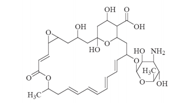 The origin, nature and introduction of Natamycin-Xi'an Lyphar Biotech Co., Ltd