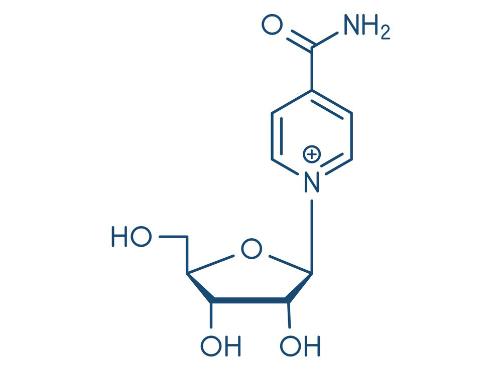 Chemical structure and physical properties of Nicotinamide Riboside-Xi'an Lyphar Biotech Co., Ltd