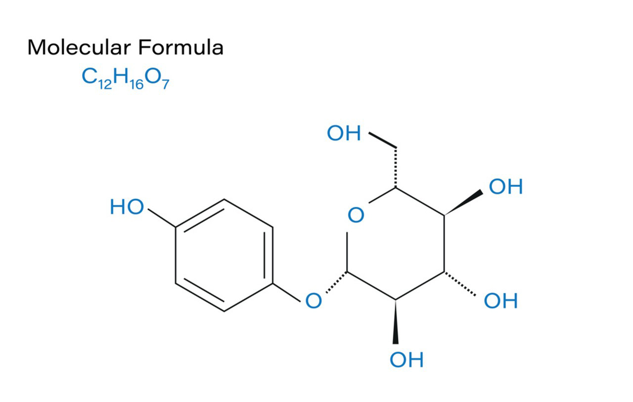 What is Alpha Arbutin?-Xi'an Lyphar Biotech Co., Ltd What is Alpha Arbutin?-Xi'an Lyphar Biotech Co., Ltd