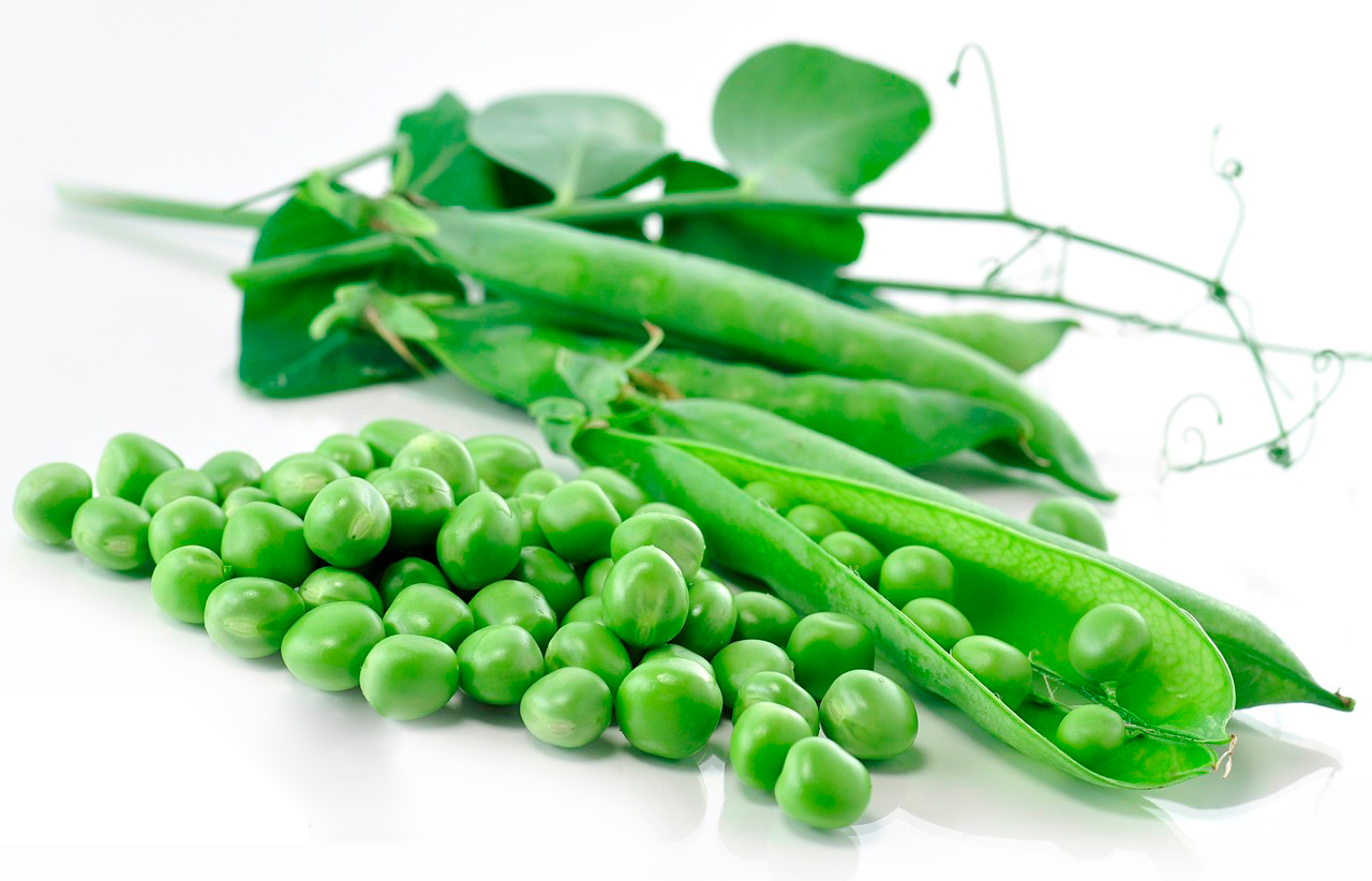 Pros and Cons of Palmitoylethanolamide-Xi'an Lyphar Biotech Co., Ltd Pros and Cons of Palmitoylethanolamide-Xi'an Lyphar Biotech Co., Ltd