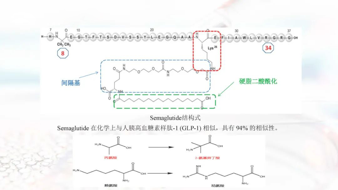 Comprehensive studies of Semaglutide-Xi'an Lyphar Biotech Co., Ltd