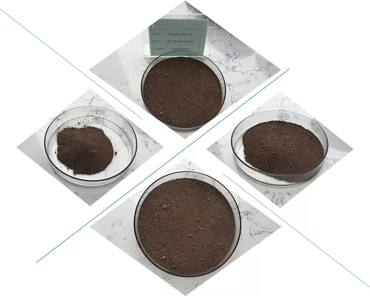 The basic ingredients of Propolis Powder-Xi'an Lyphar Biotech Co., Ltd