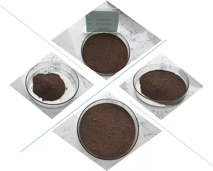 Basic Ingredients of Propolis Powder-Xi'an Lyphar Biotech Co., Ltd Basic Ingredients of Propolis Powder-Xi'an Lyphar Biotech Co., Ltd