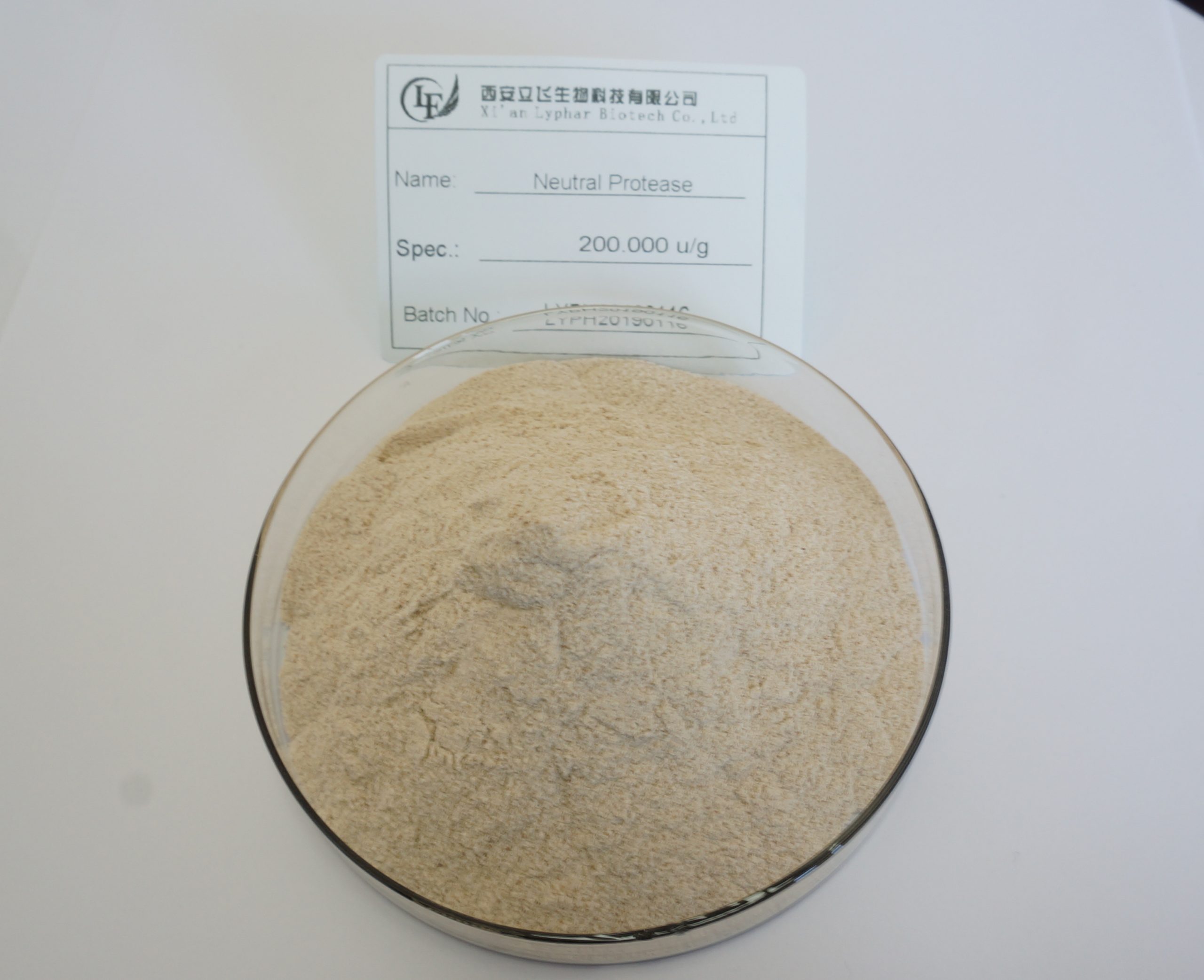 Efficacy and action of Protease-Xi'an Lyphar Biotech Co., Ltd