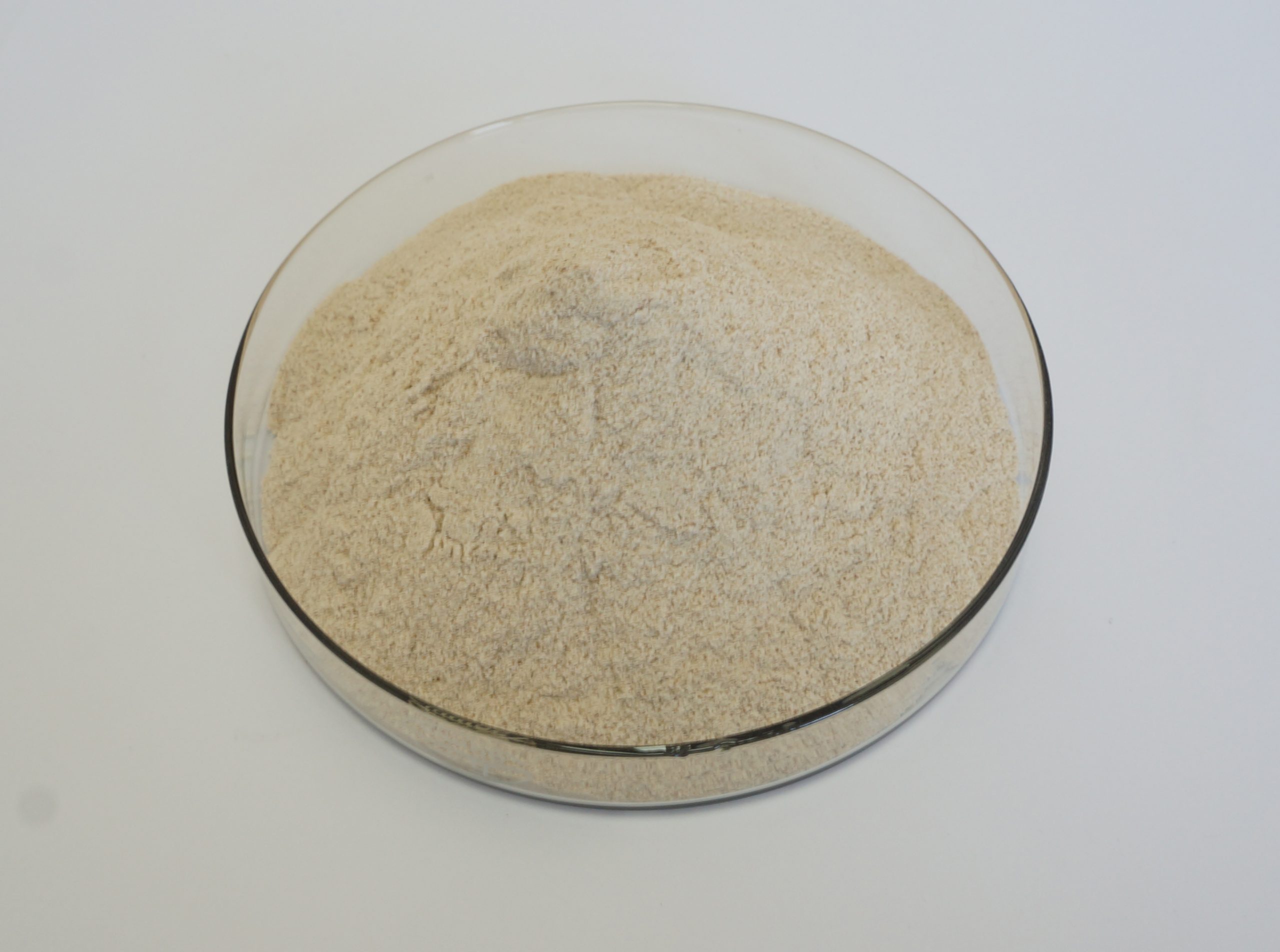The application of Protease-Xi'an Lyphar Biotech Co., Ltd
