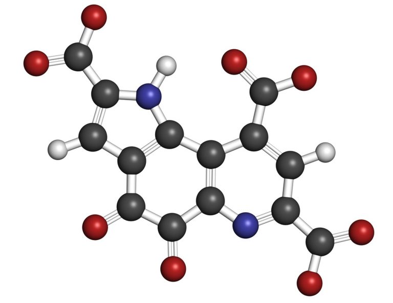 Comprehensive research of Pyrroloquinoline Quinone 1 2023121507493476