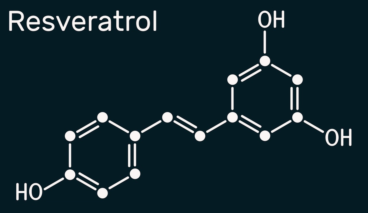 The origin and nature of Resveratrol-Xi'an Lyphar Biotech Co., Ltd