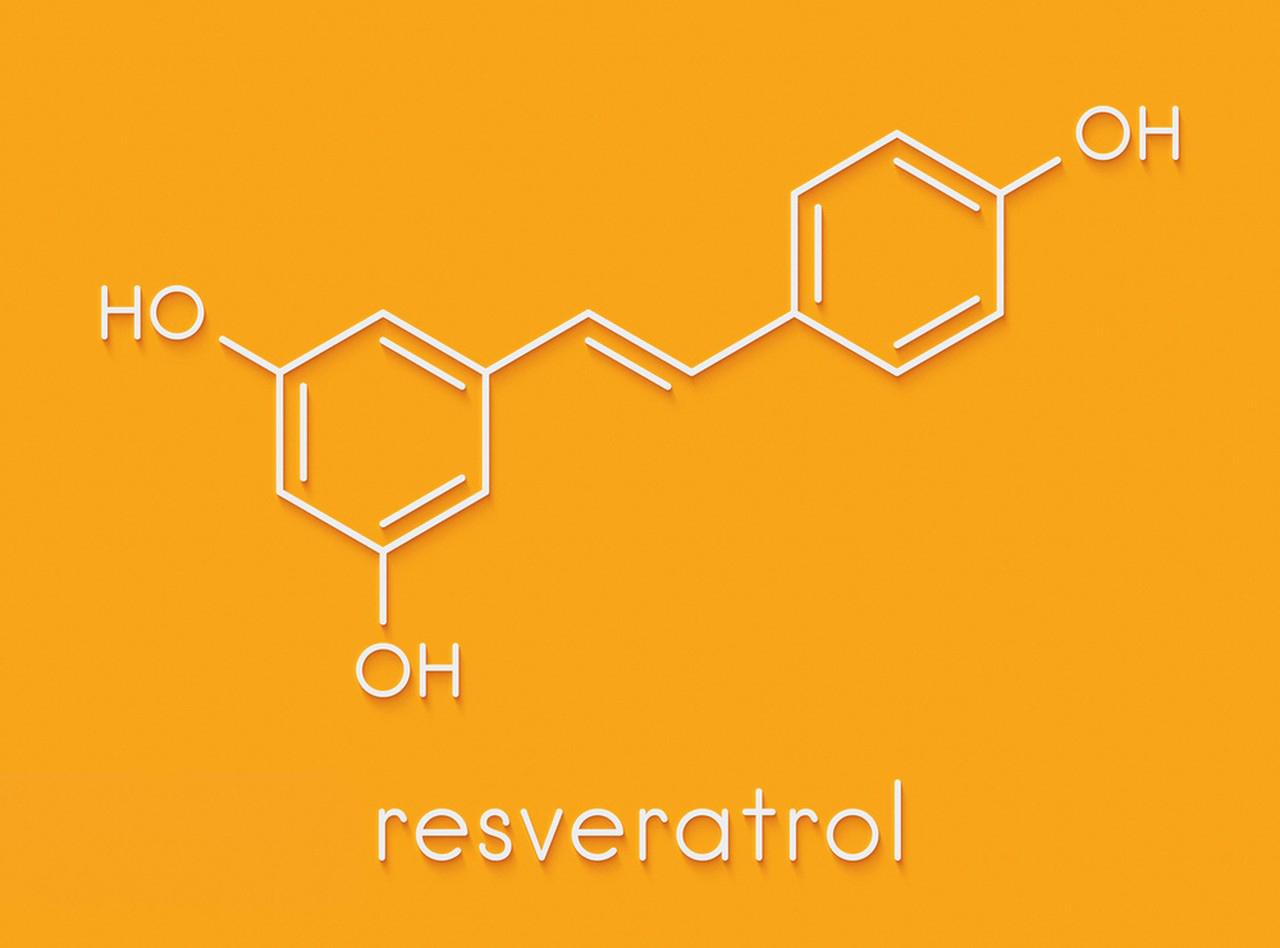 The potential benefits of Resveratrol-Xi'an Lyphar Biotech Co., Ltd