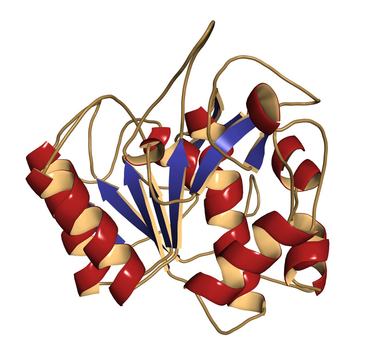 Nattokinase