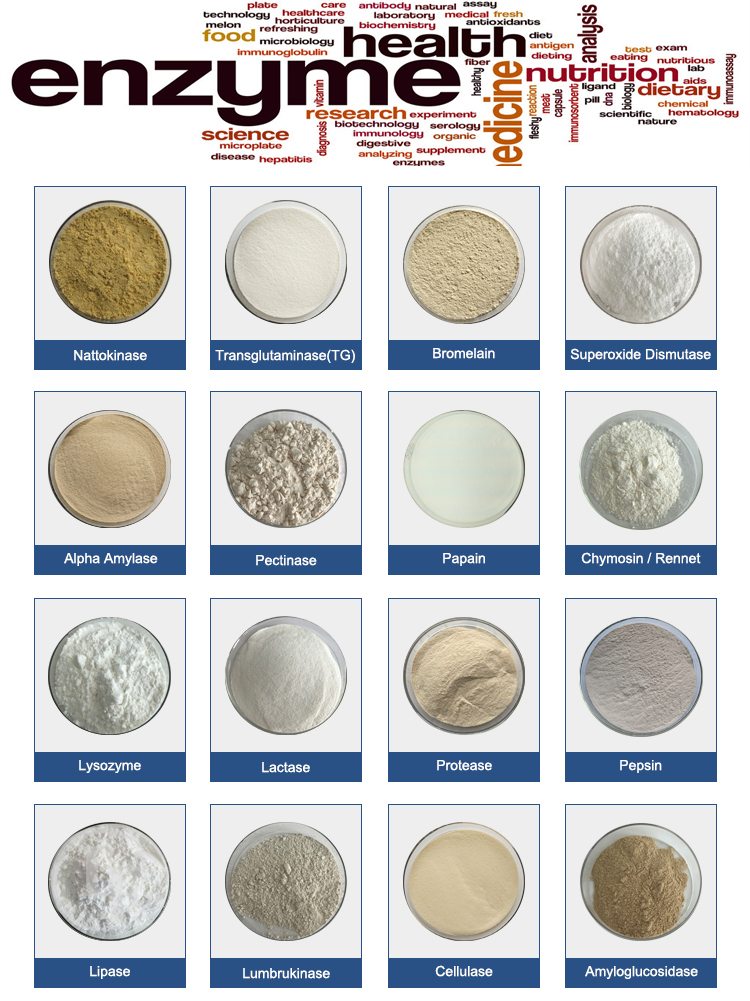 Material and method of Nattokinase-Xi'an Lyphar Biotech Co., Ltd