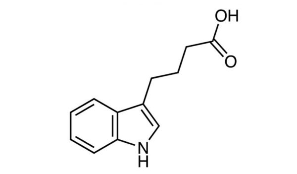 Inol Structure Chemical structure and physical properties of Indole-3-butyric acid