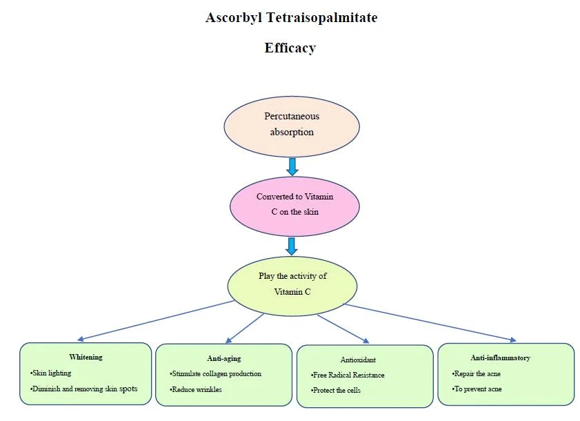 How to use Ascorbyl Tetraisopalmitate to achieve the best results?-Xi'an Lyphar Biotech Co., Ltd