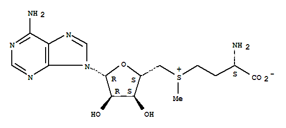 Superoxide Dismutase