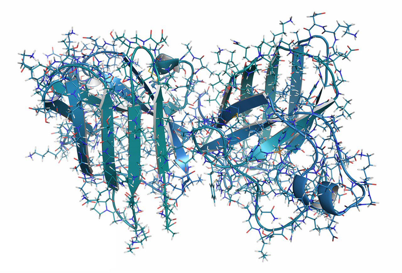 Superoxide Dismutase